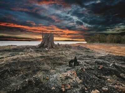 Bestel gratis de documentaire ‘Countdown on the river Xingu V’