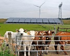 Vernieuwde groenregeling biedt meer mogelijkheden voor financiering van duurzame projecten