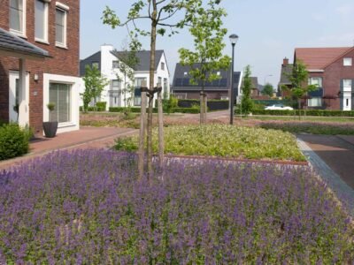 Operatie Steenbreek en Entente Florale gaan verder onder Stichting Steenbreek