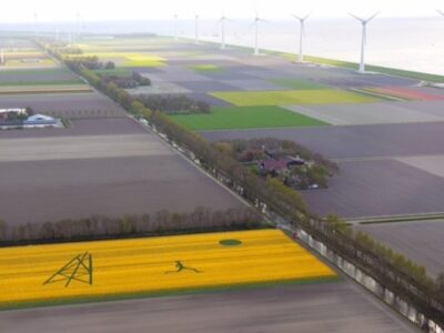 Schaliegas kunstwerk in tulpenveld Noordoostpolder