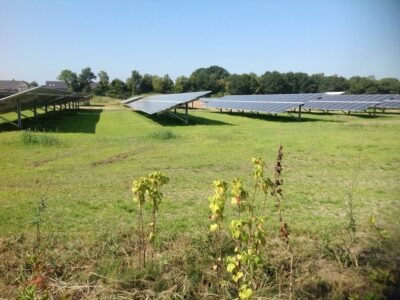 Wethouder Engels geeft op 3 basisscholen in Bronckhorst gastles in duurzaamheid