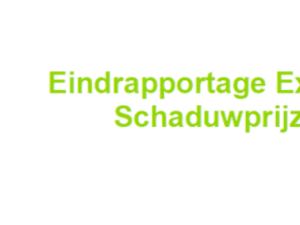 EINDRAPPORTAGE EXPERTNETWERK CO<sub>2</sub>-SCHADUWPRIJZEN