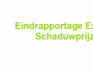 EINDRAPPORTAGE EXPERTNETWERK CO<sub>2</sub>-SCHADUWPRIJZEN