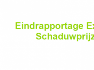 EINDRAPPORTAGE EXPERTNETWERK CO<sub>2</sub>-SCHADUWPRIJZEN