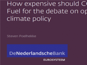 How expensive should CO<sub>2</sub> be? Fuel for the debate on optimal climate policy