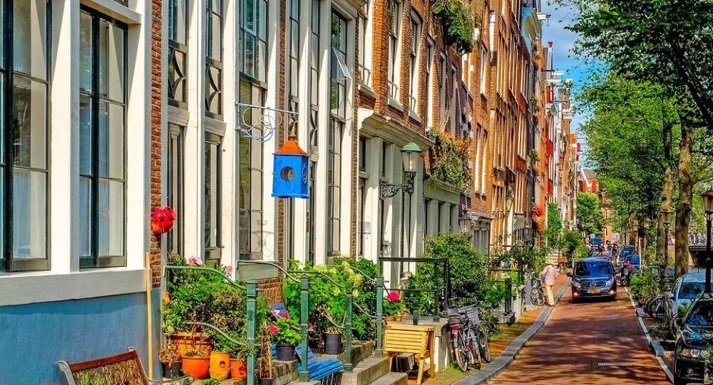 groene-straat-1000×540-crop-50-50