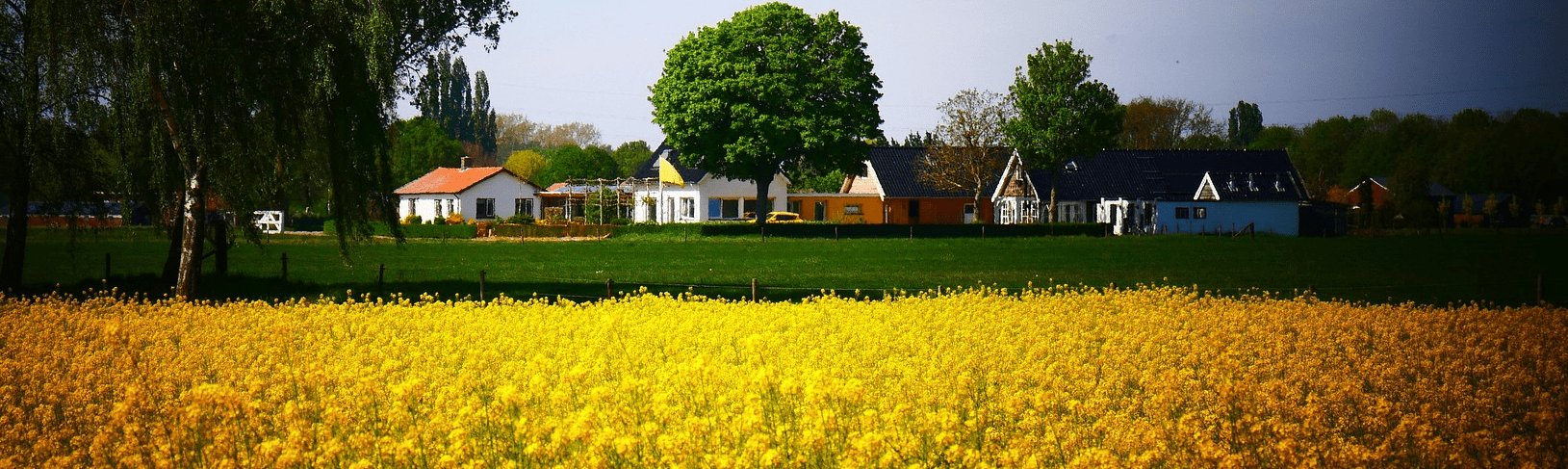 Gelders Landschap – Groene Icoonprojecten Provincie Gelderland – Pixabay – breed
