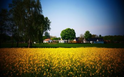 Gelders Landschap – Groene Icoonprojecten Provincie Gelderland – Pixabay