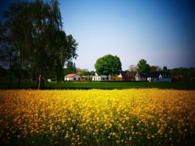 Gelders Landschap – Groene Icoonprojecten Provincie Gelderland – Pixabay