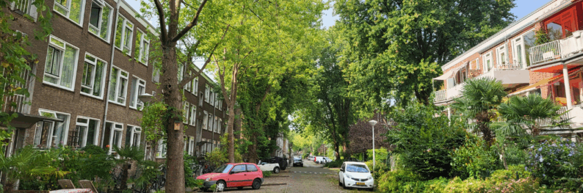 Header Klimaatverbond (4)