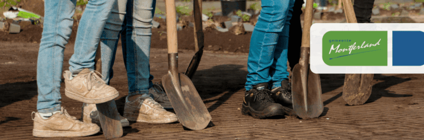 van plan tot plant