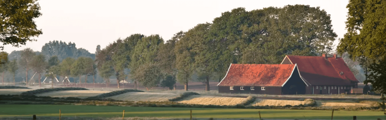 Hero KVN website (3)